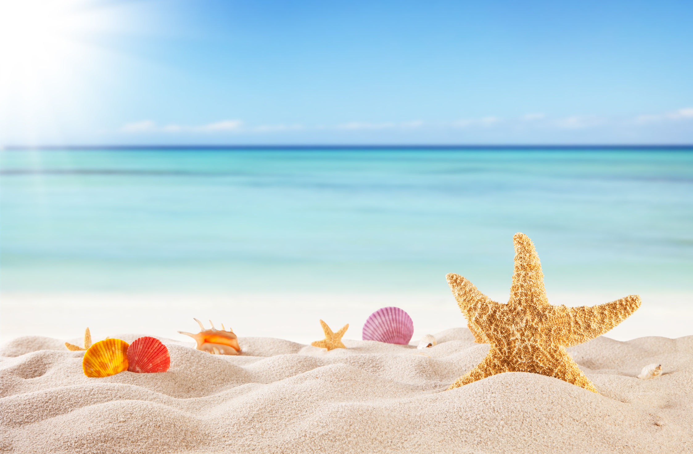 Summer beach background